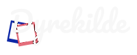 Dyrekilde